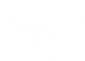 Dealer portal